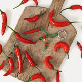Chili Glass Keychain / Bag Charm